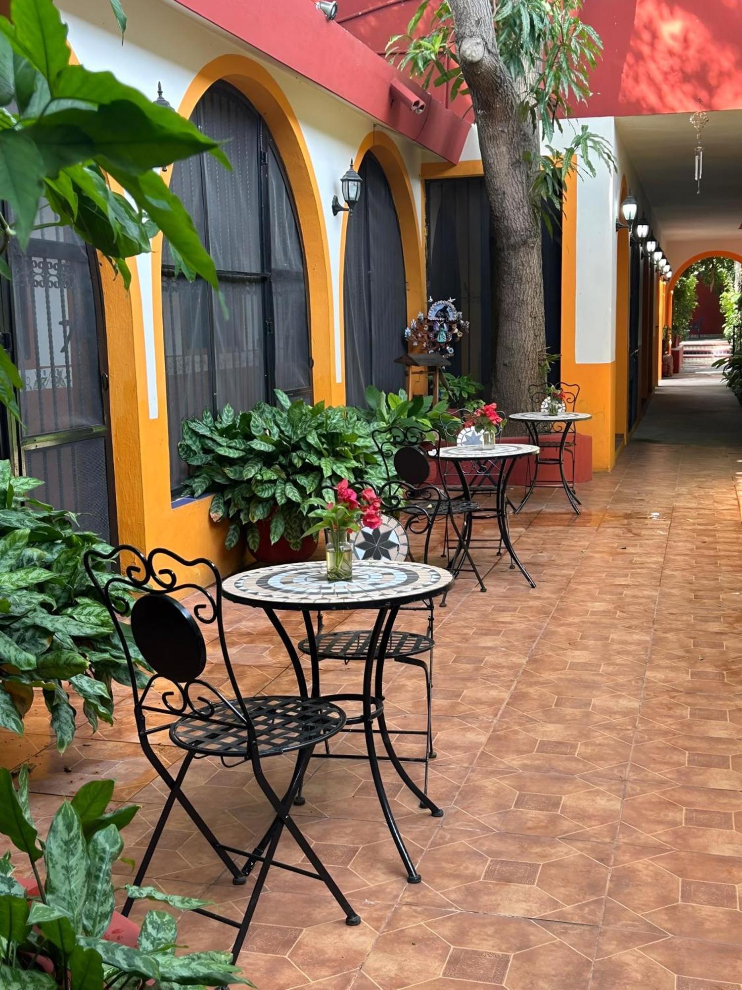 메리다 Casa Tres Colibries B&B 외부 사진