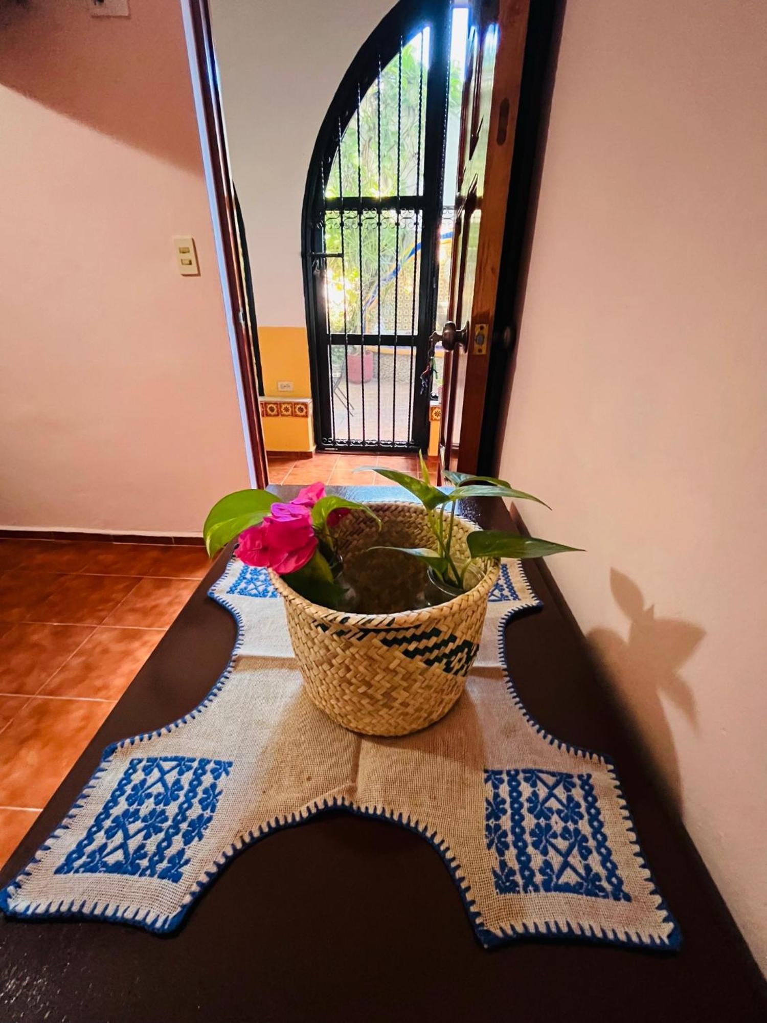 메리다 Casa Tres Colibries B&B 외부 사진