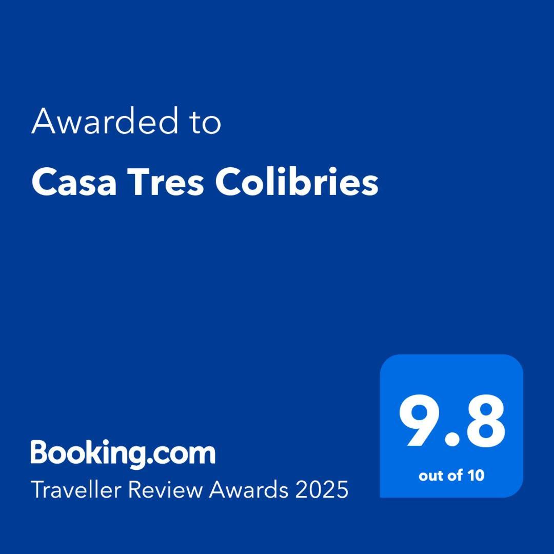 메리다 Casa Tres Colibries B&B 외부 사진